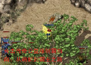 合击传奇公益服制霸指南:从萌新到霸主之路 合击传奇公益服制霸指南:从萌新到霸主之路