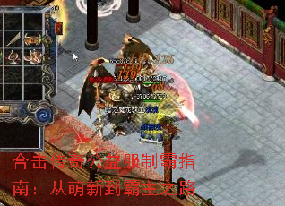 合击传奇公益服制霸指南:从萌新到霸主之路 合击传奇公益服制霸指南:从萌新到霸主之路