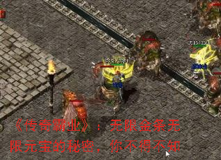 《传奇霸业》:无限金条无限元宝的秘密,你不得不知 《传奇霸业》:无限金条无限元宝的秘密,你不得不知