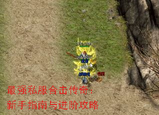 最强私服合击传奇:新手指南与进阶攻略 最强私服合击传奇:新手指南与进阶攻略