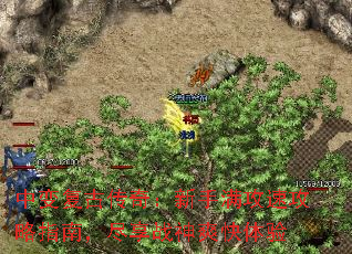 �б临�Ŵ��棺���������ٹ���ָ�ϣ�����ս��ˬ������