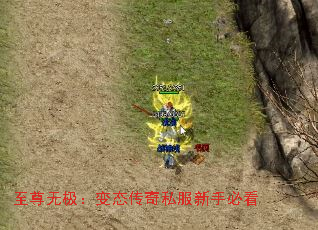 至尊无极:变态传奇私服新手必看 至尊无极:变态传奇私服新手必看