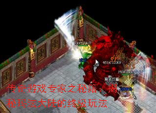 传奇游戏专家之秘籍:揭秘玛法大陆的终极玩法 传奇游戏专家之秘籍:揭秘玛法大陆的终极玩法