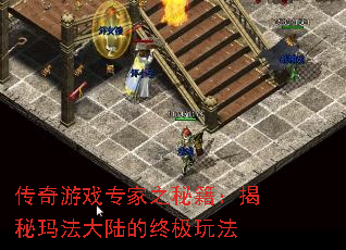 传奇游戏专家之秘籍:揭秘玛法大陆的终极玩法 传奇游戏专家之秘籍:揭秘玛法大陆的终极玩法