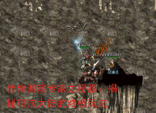 传奇游戏专家之秘籍:揭秘玛法大陆的终极玩法 传奇游戏专家之秘籍:揭秘玛法大陆的终极玩法