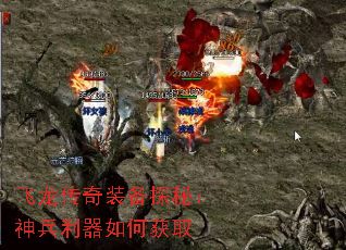 飞龙传奇装备探秘:神兵利器如何获取 飞龙传奇装备探秘:神兵利器如何获取