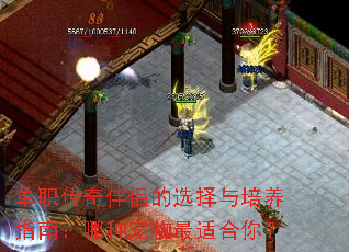 单职传奇伴侣的选择与培养指南:哪种宠物最适合你? 单职传奇伴侣的选择与培养指南:哪种宠物最适合你?