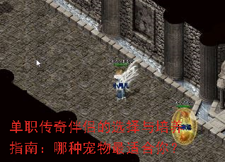 单职传奇伴侣的选择与培养指南:哪种宠物最适合你? 单职传奇伴侣的选择与培养指南:哪种宠物最适合你?