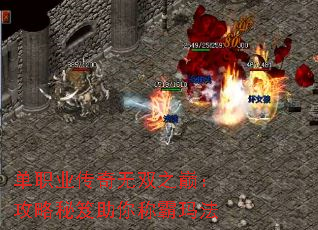 ��ְҵ������˫֮�ۣ�������������ư��귨