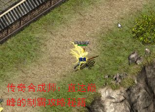 传奇合成师:直达巅峰的制霸攻略秘籍 传奇合成师:直达巅峰的制霸攻略秘籍