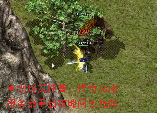 重现玛法往昔:传奇私服服务器重启攻略问答指南 重现玛法往昔:传奇私服服务器重启攻略问答指南