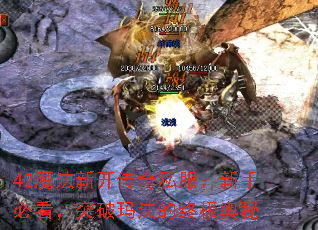 42魔法新开传奇私服:新手必看,突破玛法的终极奥秘 42魔法新开传奇私服:新手必看,突破玛法的终极奥秘