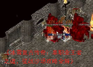 ����ѩ���Ŵ��棺��ְҵ����֮������սɳ������ȫ�⡷