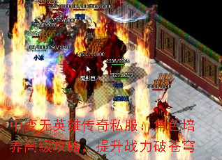 中变无英雄传奇私服:角色培养高级攻略,提升战力破苍穹 中变无英雄传奇私服:角色培养高级攻略,提升战力破苍穹