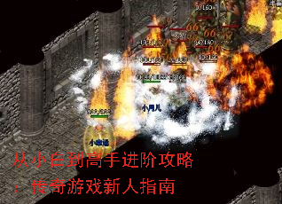 ��С�׵����ֽ��׹��ԣ�������Ϸ����ָ��