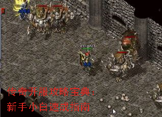 传奇开服攻略宝典:新手小白速成指南 传奇开服攻略宝典:新手小白速成指南