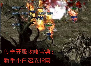 传奇开服攻略宝典:新手小白速成指南 传奇开服攻略宝典:新手小白速成指南