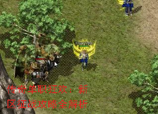 传奇单职狂欢:新区征战攻略全解析 传奇单职狂欢:新区征战攻略全解析
