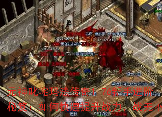 元神叱咤玛法传奇1.76新手进阶秘笈:如何快速提升战力,战无不胜 元神叱咤玛法传奇1.76新手进阶秘笈:如何快速提升战力,战无不胜