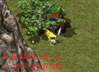�¿���ְҵ���棺���ֽ����ر�����ָ��