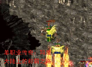 ��ְҵ���棺�귨��½�ϵĳư�֮·