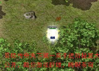 ��𩴫�����µ�һ���ֽ������Ŵ󹫿����������Ⱥ�ۣ�������