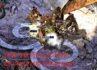 ��Ѫ����ҩ����ʦ�ش���������ҩ��ʤ���ռ�ָ��