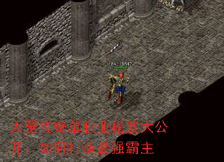 天罡传奇单职业秘笈大公开:如何打造最强霸主 天罡传奇单职业秘笈大公开:如何打造最强霸主