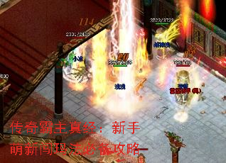 ��������澭���������´��귨�ر�����