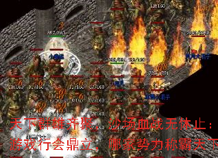 天下群雄齐聚,沙场血战无休止:传奇游戏行会鼎立,哪家势力称霸天下? 天下群雄齐聚,沙场血战无休止:传奇游戏行会鼎立,哪家势力称霸天下?
