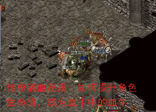传奇满血秘籍:如何提升角色生命值,成为血牛中的血牛 传奇满血秘籍:如何提升角色生命值,成为血牛中的血牛