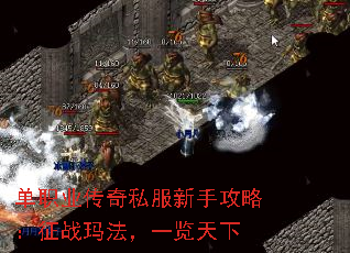 单职业传奇私服新手攻略:征战玛法,一览天下 单职业传奇私服新手攻略:征战玛法,一览天下