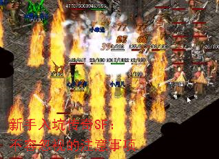 新手入坑传奇SF:不容忽视的注意事项 新手入坑传奇SF:不容忽视的注意事项