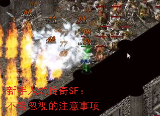 新手入坑传奇SF:不容忽视的注意事项 新手入坑传奇SF:不容忽视的注意事项