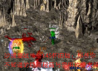 沙城鏖战传奇145怀旧版:那些你不知道的隐藏秘籍与实用攻略大揭秘 沙城鏖战传奇145怀旧版:那些你不知道的隐藏秘籍与实用攻略大揭秘