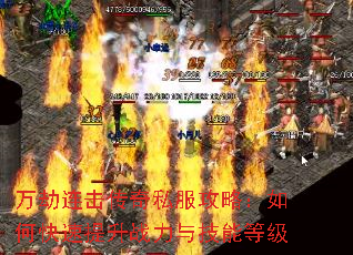 万劫连击传奇私服攻略:如何快速提升战力与技能等级 万劫连击传奇私服攻略:如何快速提升战力与技能等级