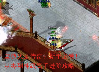 至尊火龙传奇:新手必看!从零到神级高手进阶攻略 至尊火龙传奇:新手必看!从零到神级高手进阶攻略