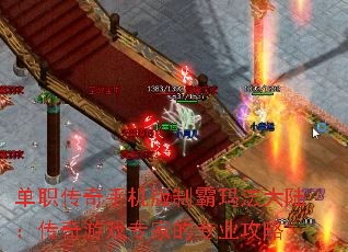 ��ְ�����ֻ����ư��귨��½��������Ϸר�ҵ�רҵ����