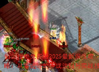 �ɽ�������Ѱ�2025������ȹ��ԣ�������׵����ɷ�����ʵս����