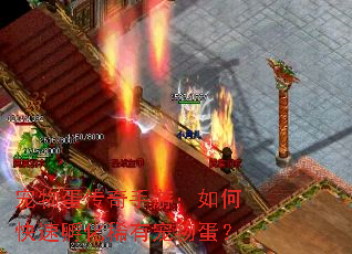 宠物蛋传奇手游:如何快速孵化稀有宠物蛋? 宠物蛋传奇手游:如何快速孵化稀有宠物蛋?