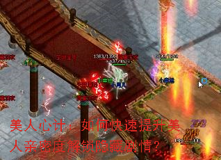 美人心计:如何快速提升美人亲密度解锁隐藏剧情? 美人心计:如何快速提升美人亲密度解锁隐藏剧情?