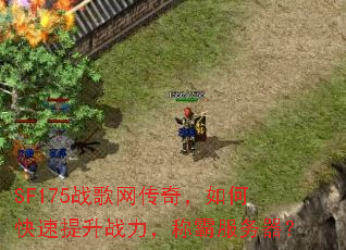 SF175战歌网传奇,如何快速提升战力,称霸服务器? SF175战歌网传奇,如何快速提升战力,称霸服务器?