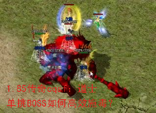 1.85����cqsf����ʿ����BOSS��θ�Чʩ����