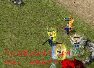���浥ְҵ����������ο������ֲ��ư����磿
