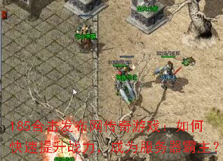 185合击发布网传奇游戏:如何快速提升战力,成为服务器霸主? 185合击发布网传奇游戏:如何快速提升战力,成为服务器霸主?