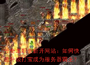 传奇单职业新开网站:如何快速升级打宝成为服务器霸主? 传奇单职业新开网站:如何快速升级打宝成为服务器霸主?