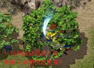1.76升级路漫漫?传奇新人如何快速变强? 1.76升级路漫漫?传奇新人如何快速变强?