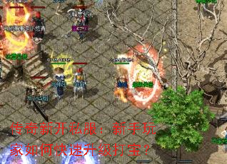 传奇新开私服:新手玩家如何快速升级打宝? 传奇新开私服:新手玩家如何快速升级打宝?