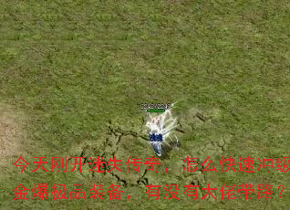 今天刚开迷失传奇,怎么快速冲级打金爆极品装备,有没有大佬带路? 今天刚开迷失传奇,怎么快速冲级打金爆极品装备,有没有大佬带路?