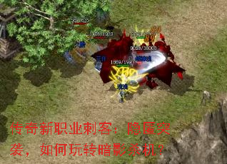 传奇新职业刺客:隐匿突袭,如何玩转暗影杀机? 传奇新职业刺客:隐匿突袭,如何玩转暗影杀机?